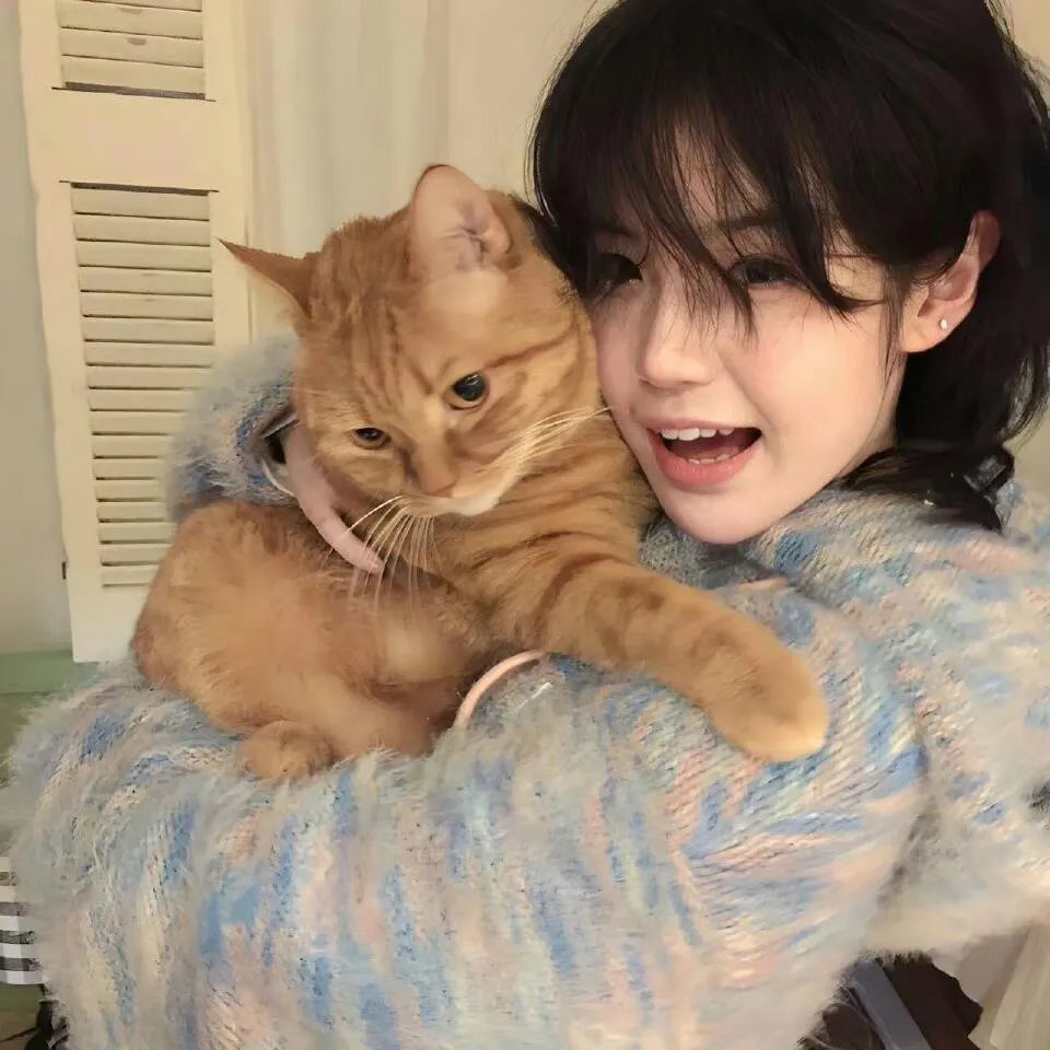 下凡福星旺全家